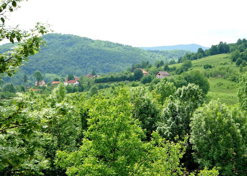 Zugec *